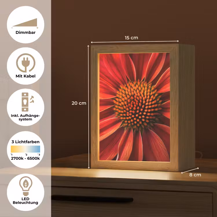 Close up - Bloem- Rood Light Box met kabel (Tafellamp) klein -USP_DE