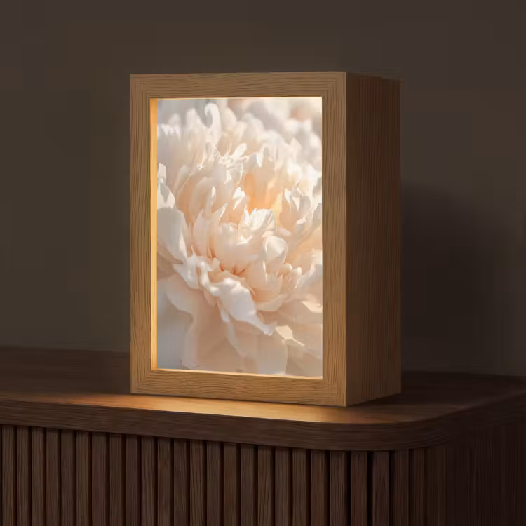 Close up - Pioenroos - Lichtroze Light Box met kabel (Tafellamp) klein -z3d_website