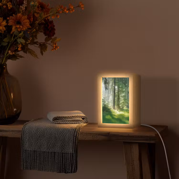 Natuur - Bomen - Bos - Groen - Zon - Gras - Planten Light Box met kabel (Tafellamp) klein -sfeer4