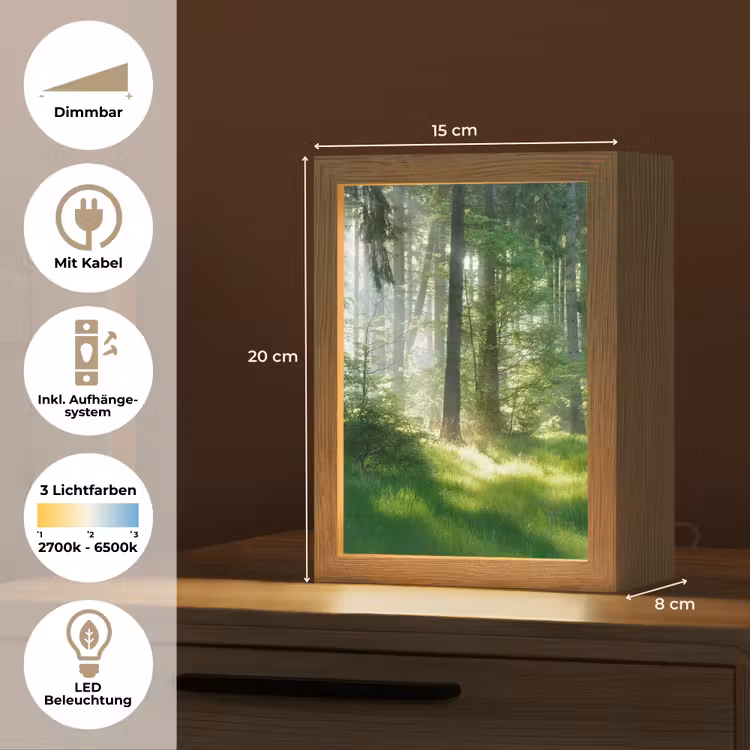Natuur - Bomen - Bos - Groen - Zon - Gras - Planten Light Box met kabel (Tafellamp) klein -USP_DE