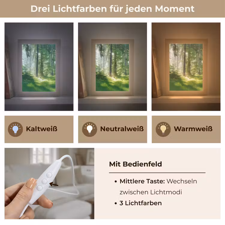 Natuur - Bomen - Bos - Groen - Zon - Gras - Planten Light Box met kabel (Tafellamp) klein -USP_lichtkleurDE
