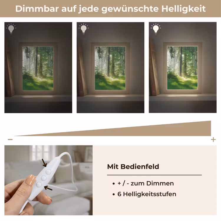 Natuur - Bomen - Bos - Groen - Zon - Gras - Planten Light Box met kabel (Tafellamp) klein -USP_dimbaarDE