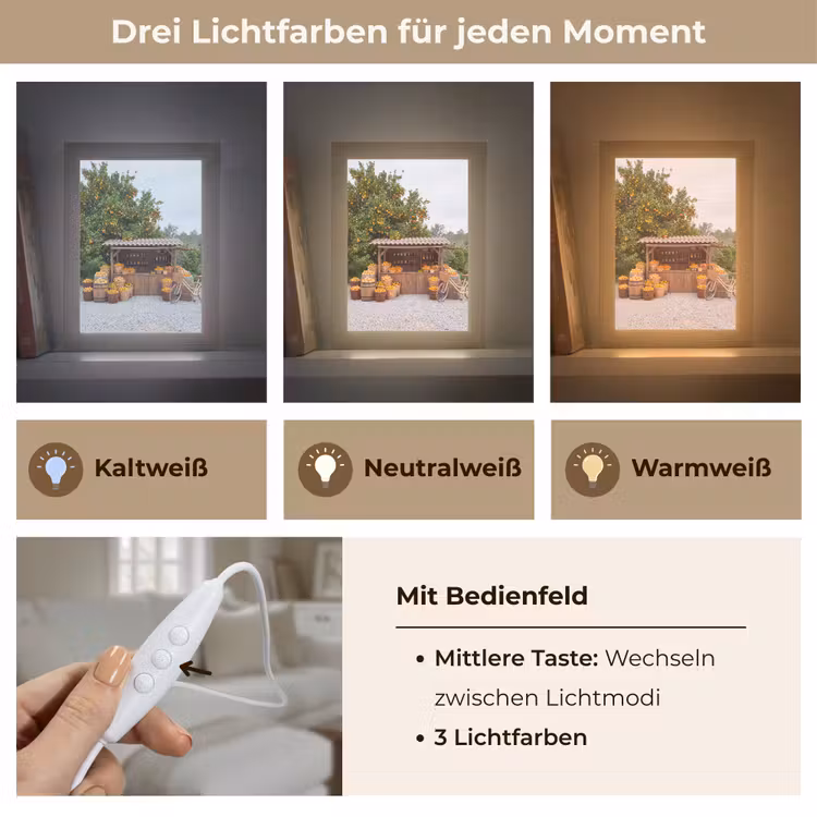 Tischlampe - Obst – Markt – Ländlich - Fruit - Markt - Landelijk Light Box met kabel (Tafellamp) klein