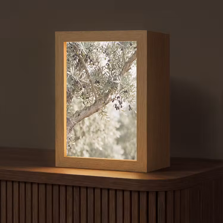 Tischlampe - Olivenbaum – Zweig – grün - Olijfboom - tak - groen Light Box met kabel (Tafellamp) klein
