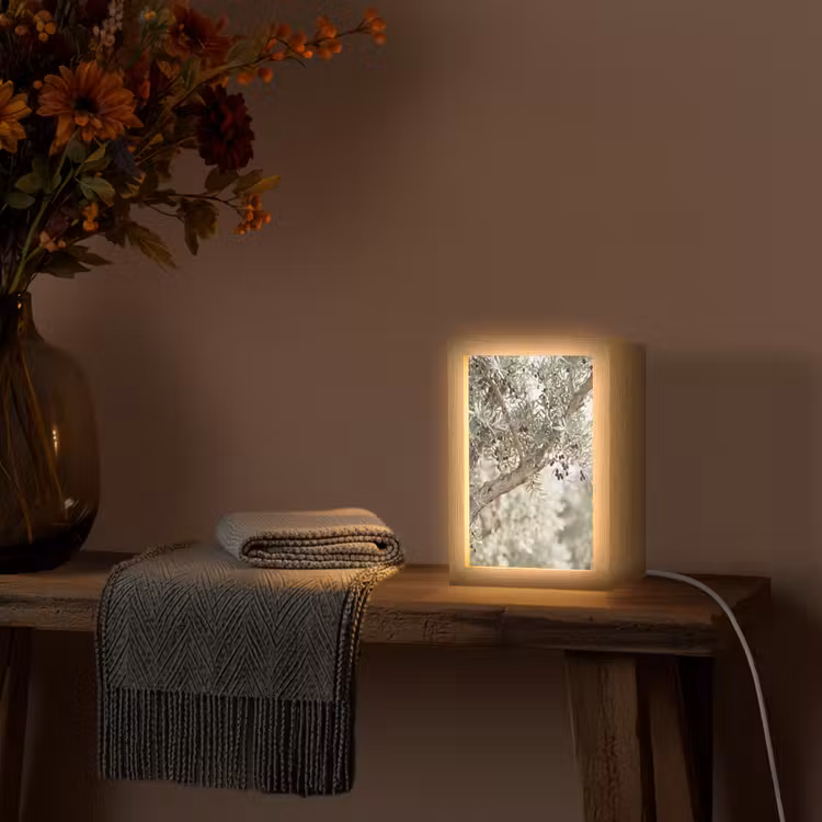 Tischlampe - Olivenbaum – Zweig – grün - Olijfboom - tak - groen Light Box met kabel (Tafellamp) klein