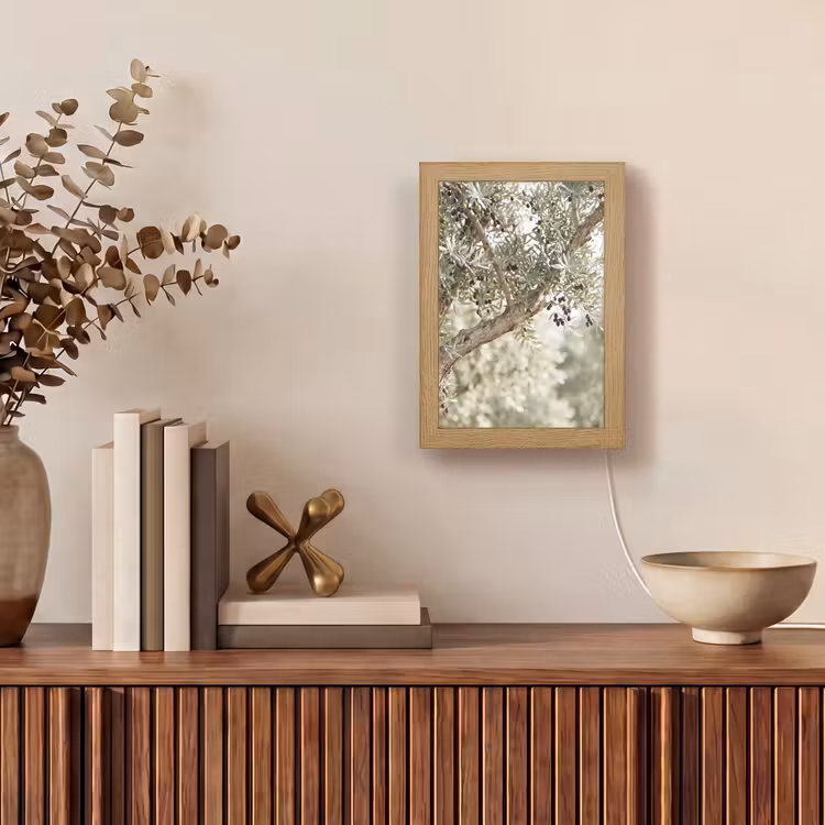 Tischlampe - Olivenbaum – Zweig – grün - Olijfboom - tak - groen Light Box met kabel (Tafellamp) klein
