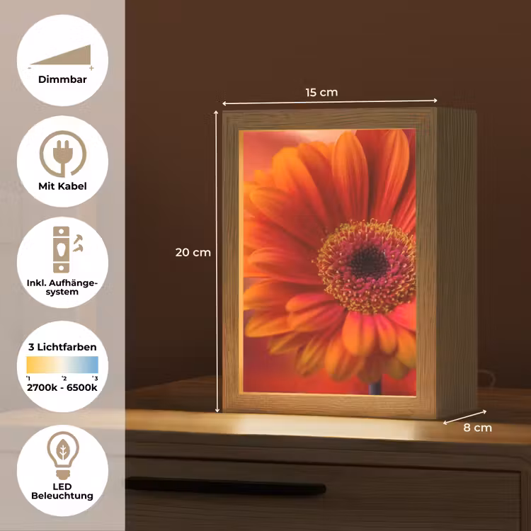 Oranje - Gerbera - Intens Light Box met kabel (Tafellamp) klein -USP_DE