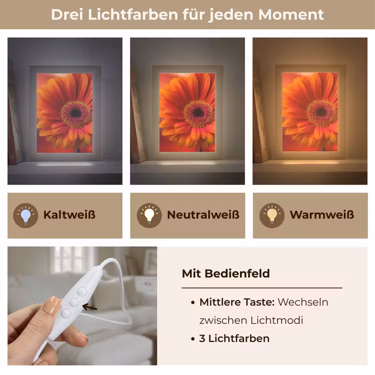 Oranje - Gerbera - Intens Light Box met kabel (Tafellamp) klein -USP_lichtkleurDE