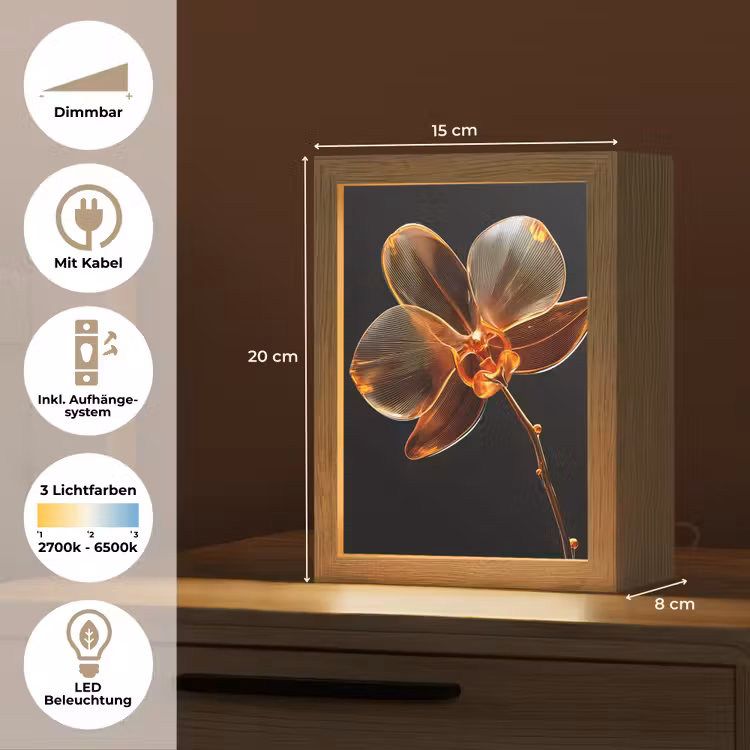 Orchidee - Doorzichtig - Bloem Light Box met kabel (Tafellamp) klein -USP_DE