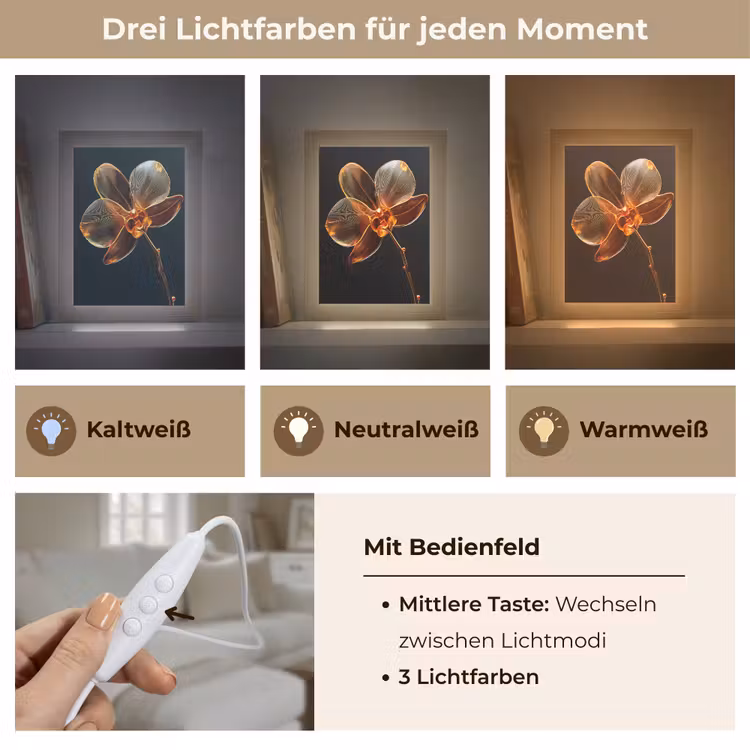 Orchidee - Doorzichtig - Bloem Light Box met kabel (Tafellamp) klein -USP_lichtkleurDE