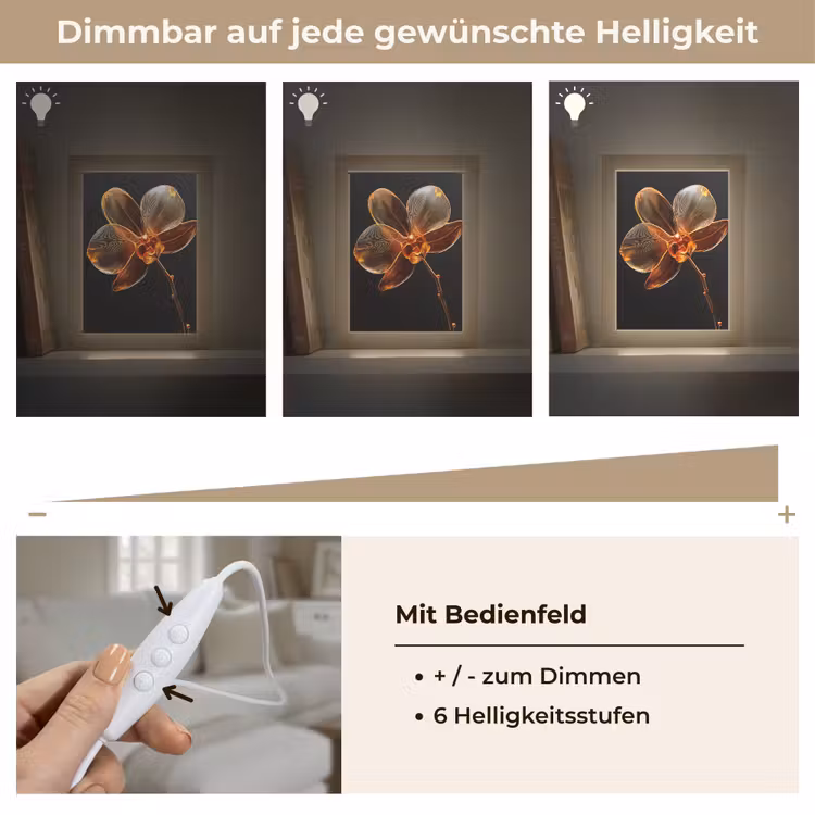 Orchidee - Doorzichtig - Bloem Light Box met kabel (Tafellamp) klein -USP_dimbaarDE