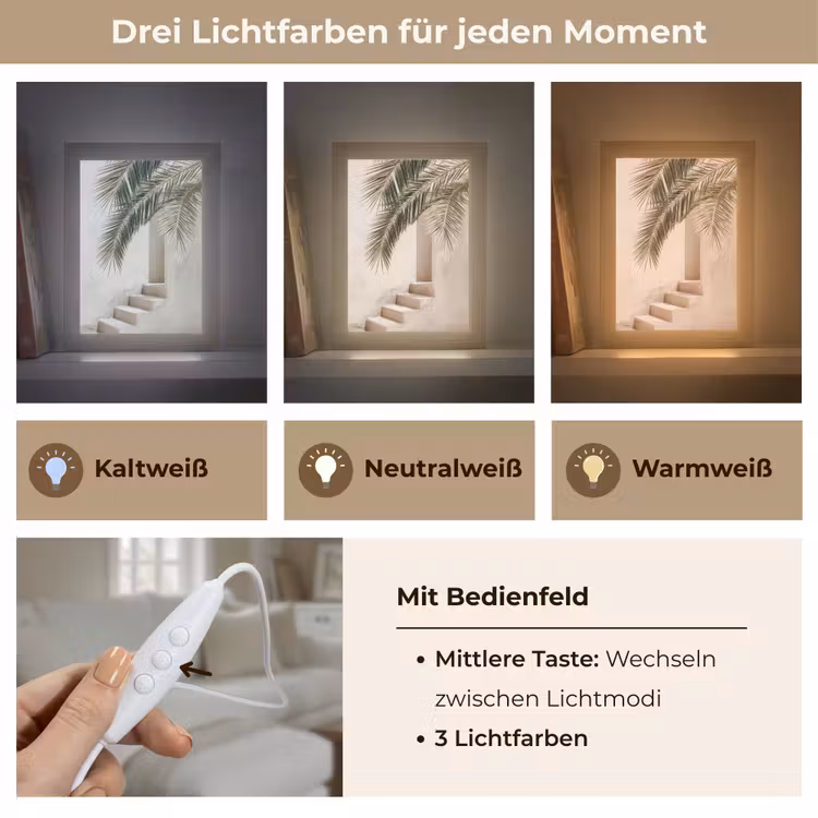 Palmboom - Schaduw - Trap - Beige Light Box met kabel (Tafellamp) klein -USP_lichtkleurDE