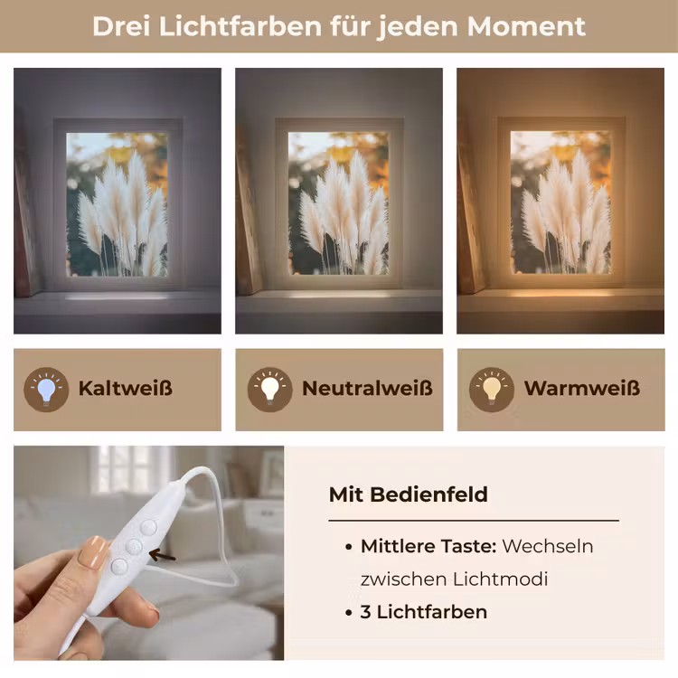Pampasgras - Pluimen - Sierlijk Light Box met kabel (Tafellamp) klein -USP_lichtkleurDE