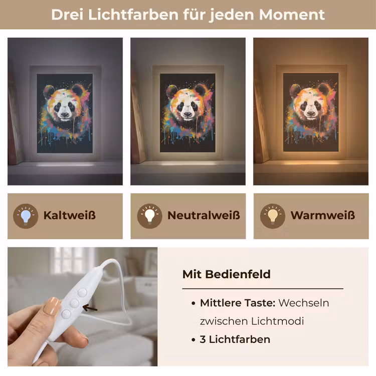 Panda - Graffiti - Dieren - Zwart - Kleuren Light Box met kabel (Tafellamp) klein -USP_lichtkleurDE