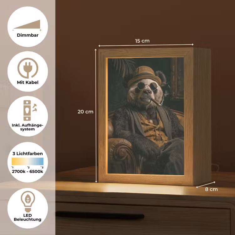 Panda - Hoed - Bril - Pak Light Box met kabel (Tafellamp) klein -USP_DE