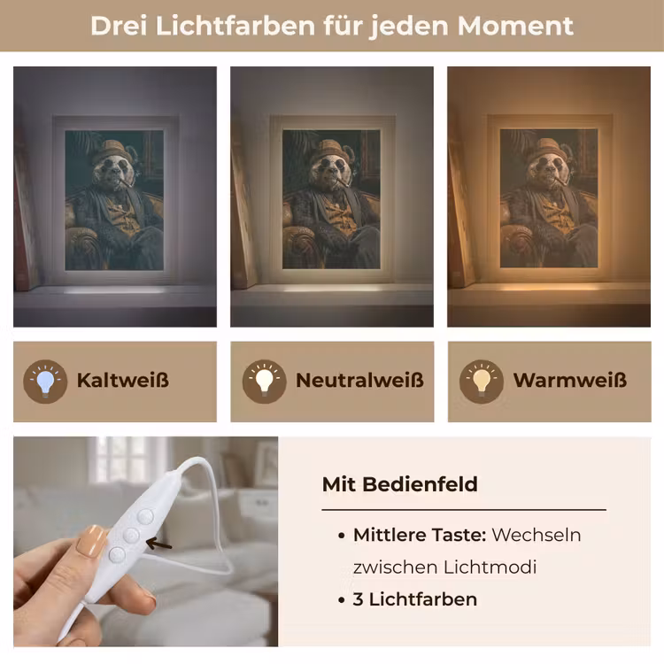Panda - Hoed - Bril - Pak Light Box met kabel (Tafellamp) klein -USP_lichtkleurDE