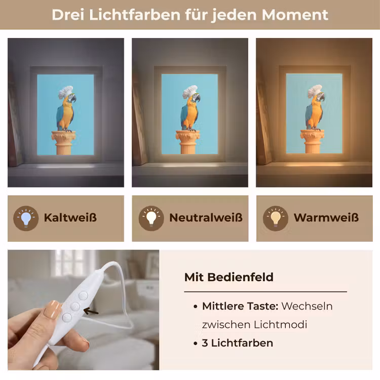 Papegaai - Koksmuts - Grappig - Vogel Light Box met kabel (Tafellamp) klein -USP_lichtkleurDE