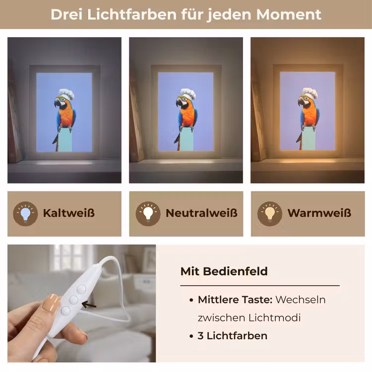 Papegaai - Koksmuts - Vogel - Leuk Light Box met kabel (Tafellamp) klein -USP_lichtkleurDE