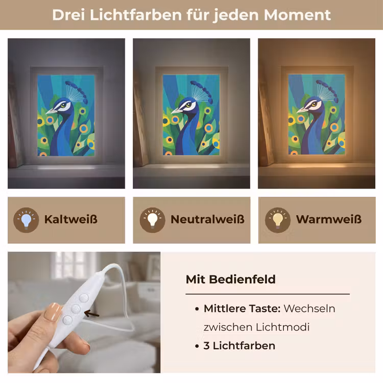 Pauw - Cirkels - Blauw Light Box met kabel (Tafellamp) klein -USP_lichtkleurDE