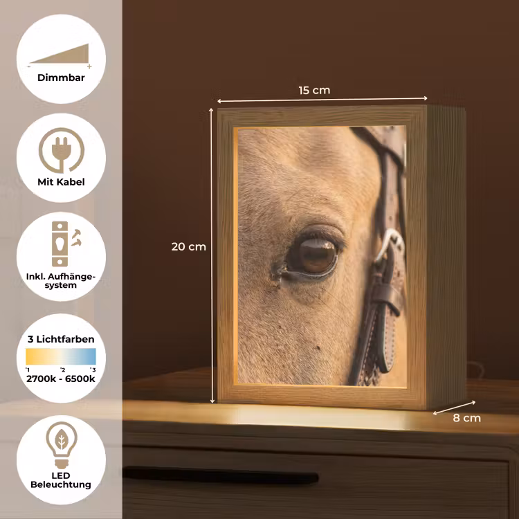 Paard - Oog - Bruin Light Box met kabel (Tafellamp) klein -USP_DE