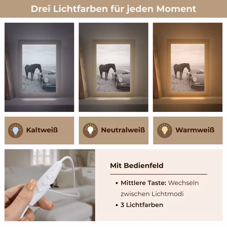 Paard - Auto - Zwart - Wit Light Box met kabel (Tafellamp) klein -USP_lichtkleurDE