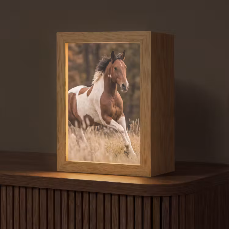 Paard - Bruin - Gras Light Box met kabel (Tafellamp) klein -z3d_website