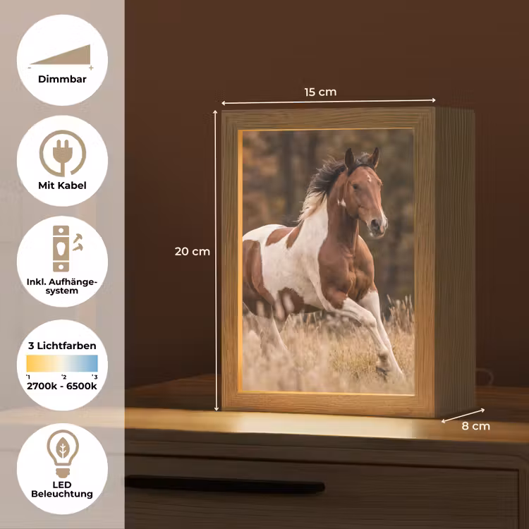 Paard - Bruin - Gras Light Box met kabel (Tafellamp) klein -USP_DE