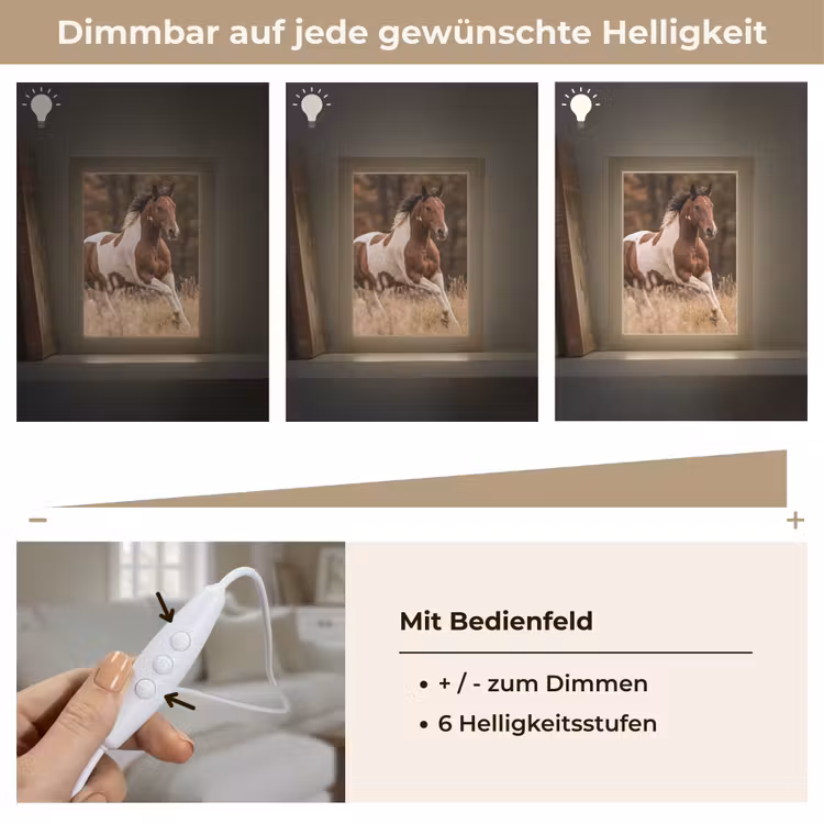 Paard - Bruin - Gras Light Box met kabel (Tafellamp) klein -USP_dimbaarDE