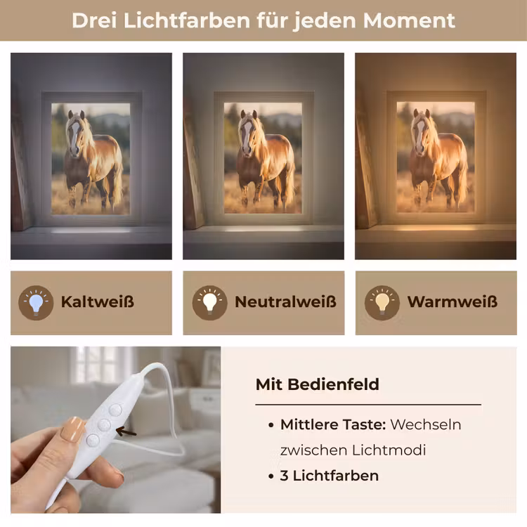 Paard - Bruin - Natuur - Weiland - Dier Light Box met kabel (Tafellamp) klein -USP_lichtkleurDE