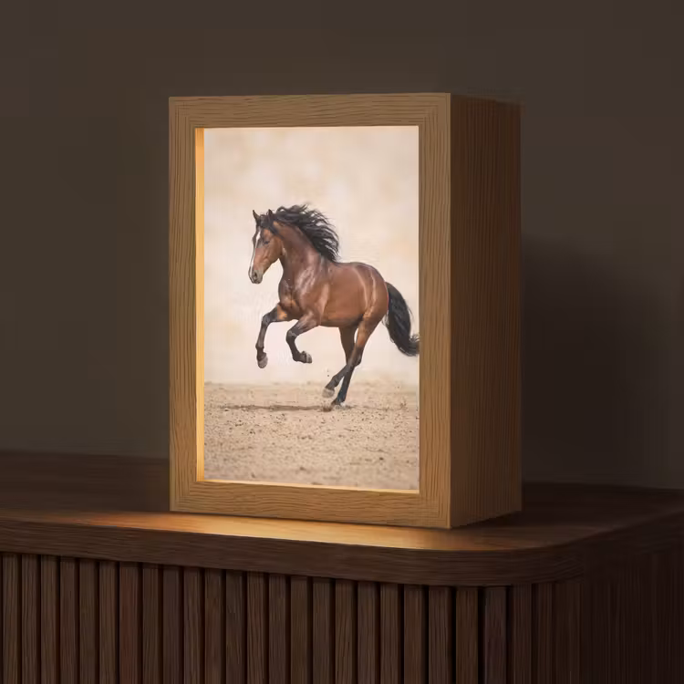 Paard - Galop - Energie Light Box met kabel (Tafellamp) klein -z3d_website