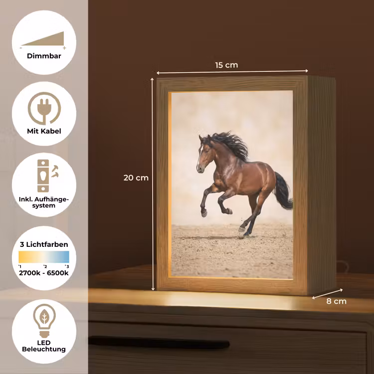 Paard - Galop - Energie Light Box met kabel (Tafellamp) klein -USP_DE