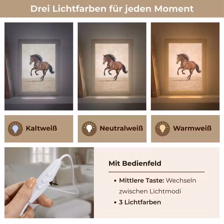 Paard - Galop - Energie Light Box met kabel (Tafellamp) klein -USP_lichtkleurDE