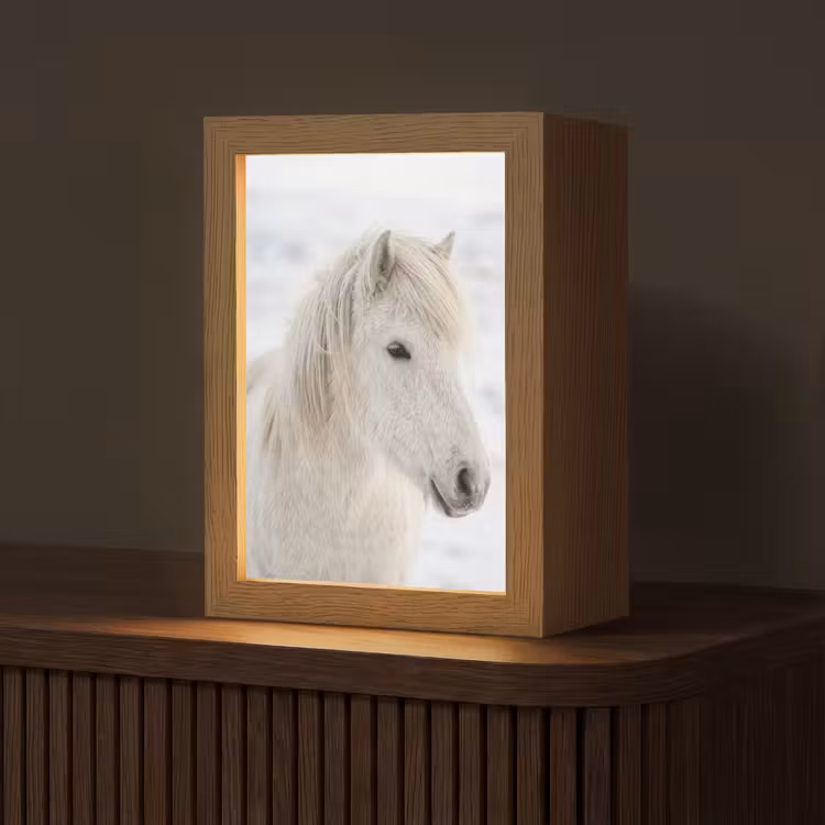Paard - Kop - Winter - Dieren - Wit Light Box met kabel (Tafellamp) klein -z3d_website
