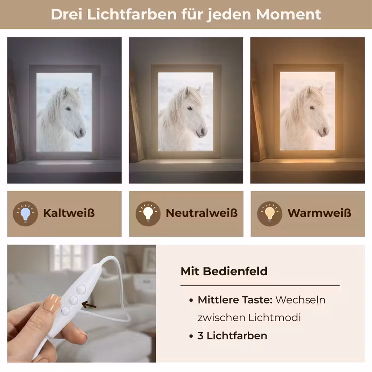 Paard - Kop - Winter - Dieren - Wit Light Box met kabel (Tafellamp) klein -USP_lichtkleurDE