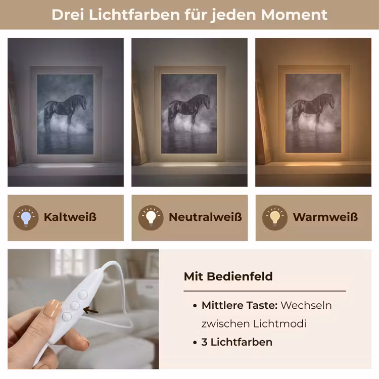 Paard - Magisch - Zwart Light Box met kabel (Tafellamp) klein -USP_lichtkleurDE