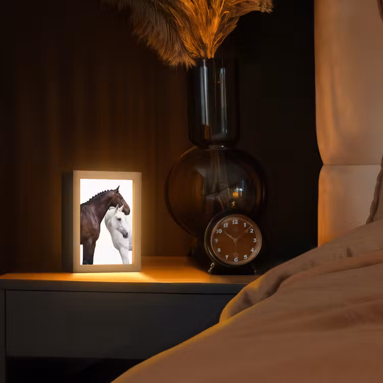 Paard - Modern - Balans Light Box met kabel (Tafellamp) klein -sfeer1