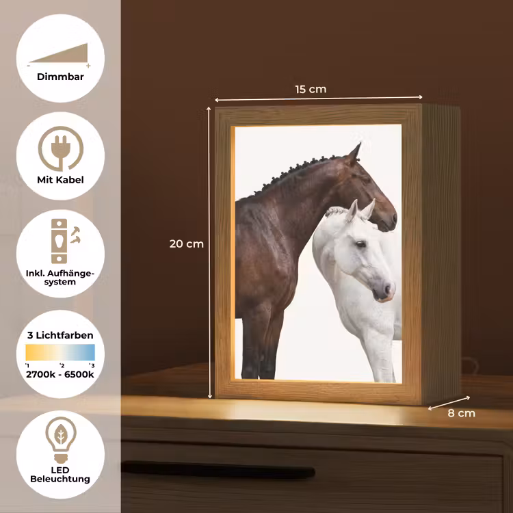 Paard - Modern - Balans Light Box met kabel (Tafellamp) klein -USP_DE