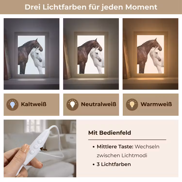 Paard - Modern - Balans Light Box met kabel (Tafellamp) klein -USP_lichtkleurDE