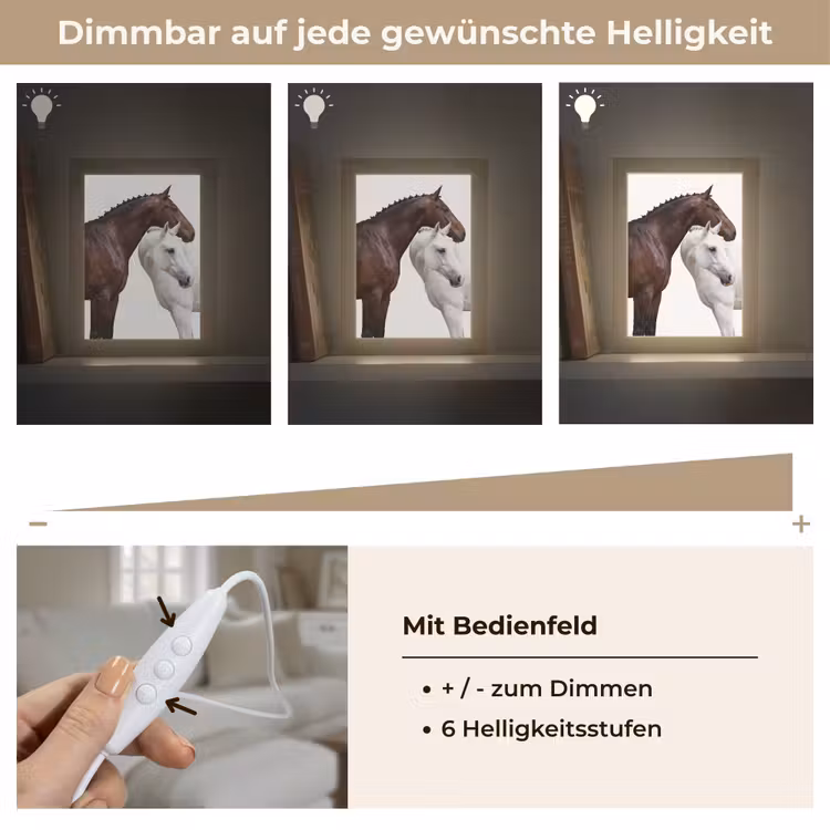 Paard - Modern - Balans Light Box met kabel (Tafellamp) klein -USP_dimbaarDE
