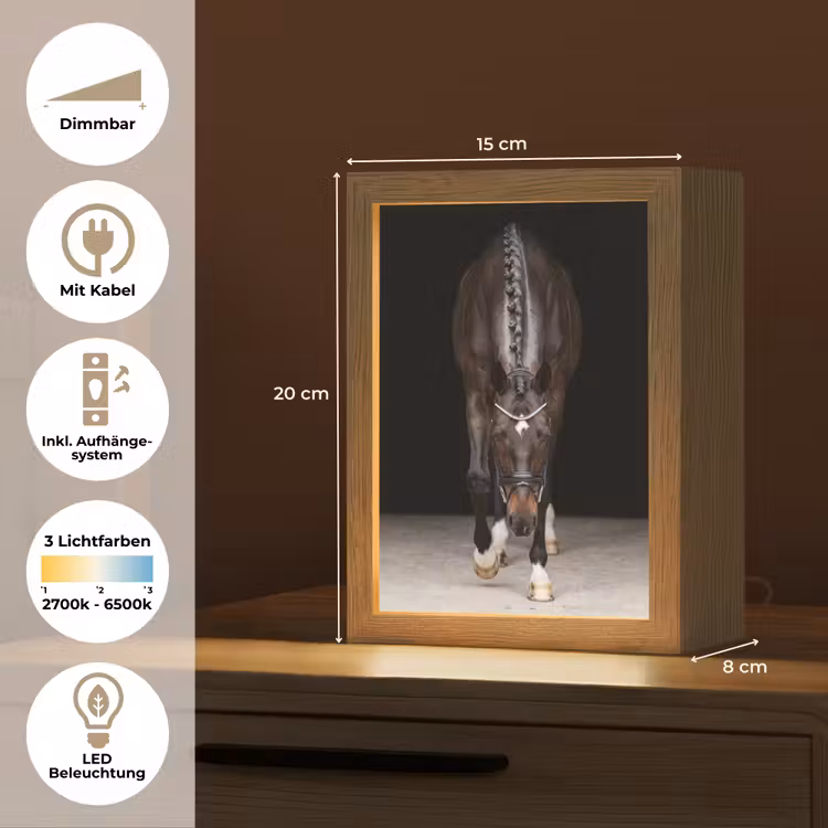 Paard - Modern - Portret Light Box met kabel (Tafellamp) klein -USP_DE