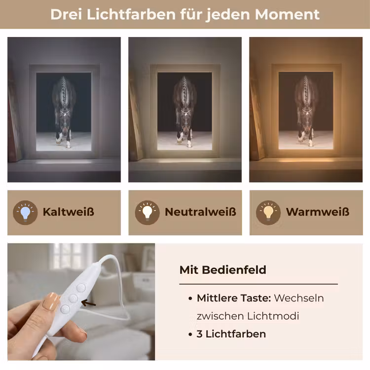 Paard - Modern - Portret Light Box met kabel (Tafellamp) klein -USP_lichtkleurDE