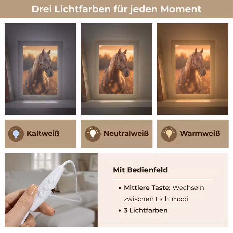 Paard - Natuur - Dier - Bruin - Dieren portret Light Box met kabel (Tafellamp) klein -USP_lichtkleurDE