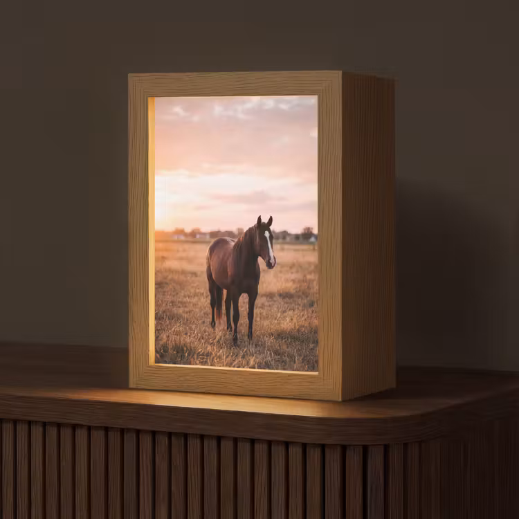 Paard - Zonsondergang - Bruin Light Box met kabel (Tafellamp) klein -z3d_website
