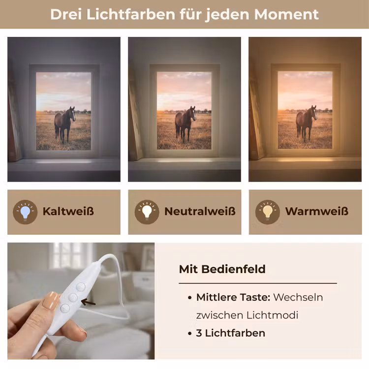 Paard - Zonsondergang - Bruin Light Box met kabel (Tafellamp) klein -USP_lichtkleurDE
