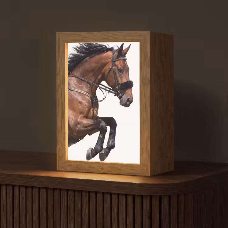 Paard - Springen - Modern Light Box met kabel (Tafellamp) klein -z3d_website