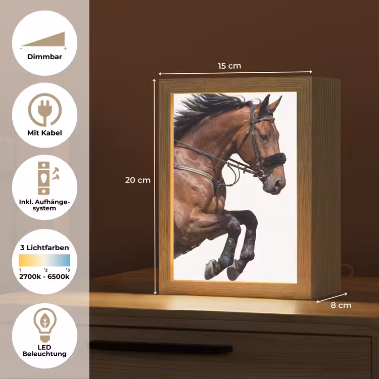 Paard - Springen - Modern Light Box met kabel (Tafellamp) klein -USP_DE