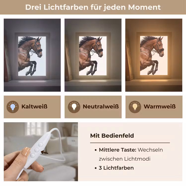Paard - Springen - Modern Light Box met kabel (Tafellamp) klein -USP_lichtkleurDE