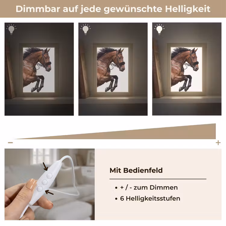 Paard - Springen - Modern Light Box met kabel (Tafellamp) klein -USP_dimbaarDE