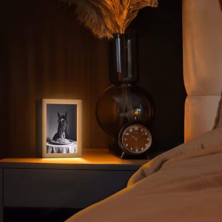 Paard - Bord - Pasta - Tafelkleed - Zwart Wit - Dieren Light Box met kabel (Tafellamp) klein -sfeer1