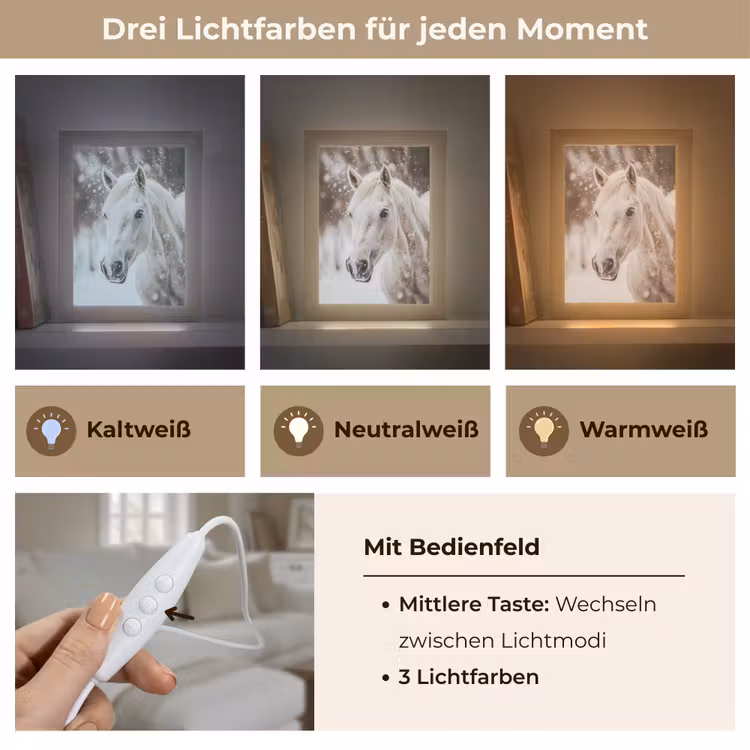 Paard - Wit - Winter - Natuur - Sneeuw - Dieren Light Box met kabel (Tafellamp) klein -USP_lichtkleurDE